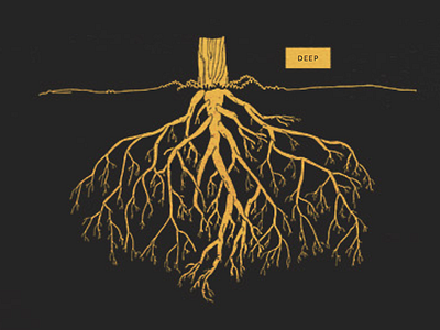 Deep Roots illustration root system trees