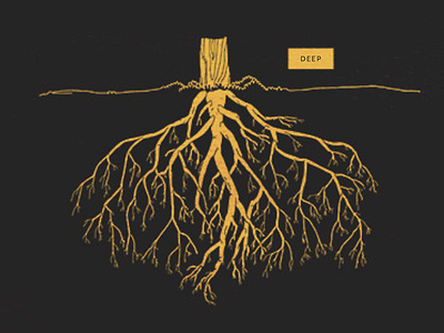 Deep Roots