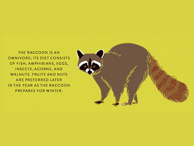 Raccoon animals drawing illustration raccoon trees
