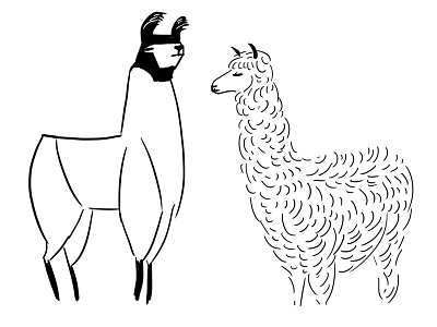 Llama And Alpaca alpaca book drawing illustration linework llama nature