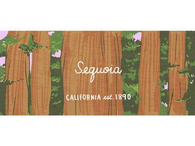 Sequoia california national park nature nature illustration nps outdoors redwoods sequoia trees