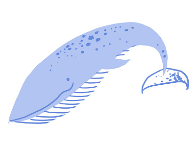 Blue Whale