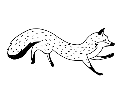 Fox animal drawing fox illustration nature