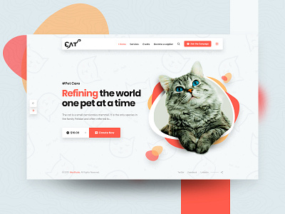 CAT Landing Page Visual Concept branding ux