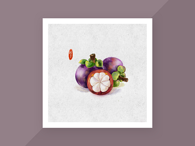 fruit-Mangosteen illustration