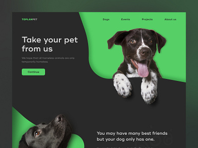 Toplanpet Website animals concept design dog pet ui ui design website websites