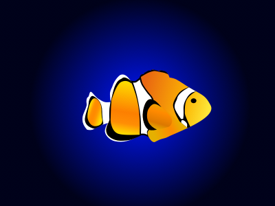 Clown fish clown fish fish sea sea creatures water