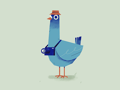 Tourist Pigeon character design illustration pigeon tourist