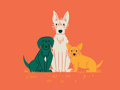 Pup portrait dogs illustration portrait
