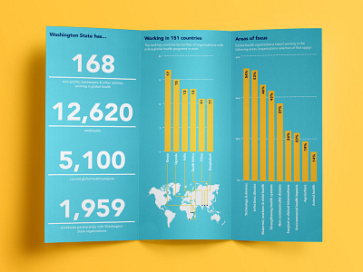 Washington Global Health Alliance brochure data visualization health infographic killer infographics