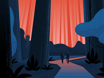 Muir Woods by Alaina Johnson for LGND on Dribbble
