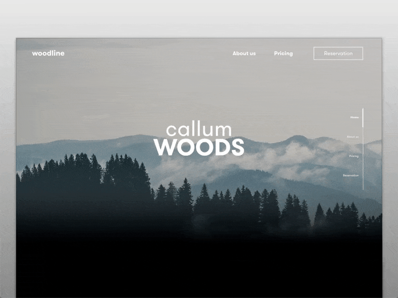 Callum Woods - Parallax