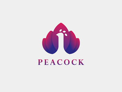 Peacock Logo animal logo bird logo design illustration illustrator logo logo design peacock peacock logo