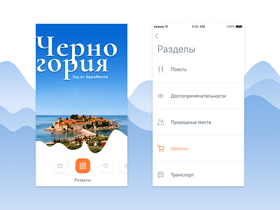 UI Design for OpenMonte Mobile App