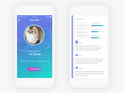 Daily UI challenge #006 — User Profile challenge daily gradient pet principle profile sketch ui user ux