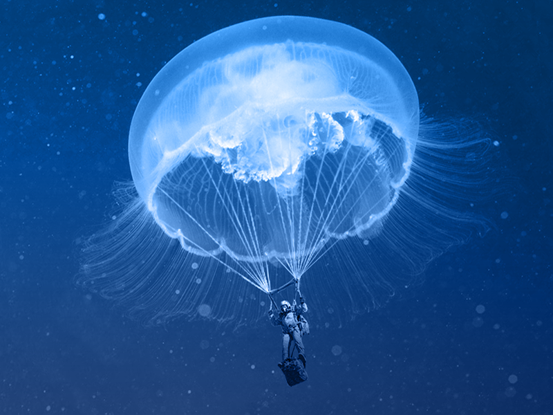 Just for fun-1 jellyfish for fun image manipulation montage