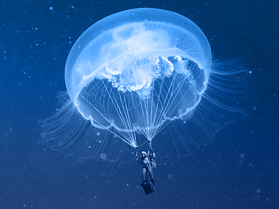 Just for fun-1 for fun image editing image manipulation jellyfish montage