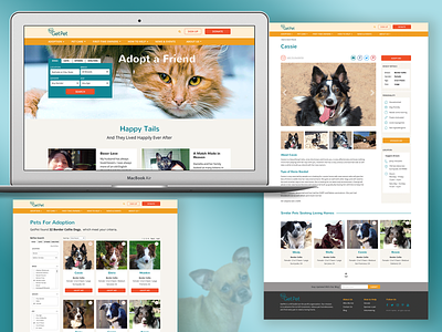GetPet - Pet Adoption Website adoption animal cat design dog homepage pet adoption pet care pets responsive responsive website design ui web design website