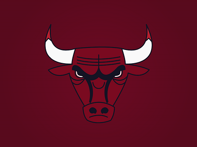 Chicago Bulls | Chicago Sports Series basketball bulls chicago chicago bulls graphic design