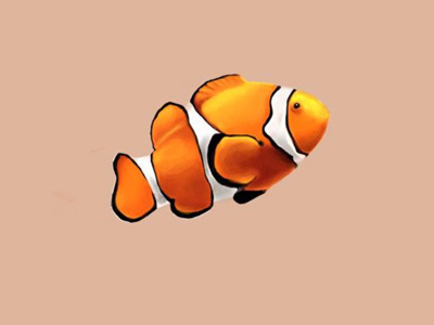 Fish photoshop