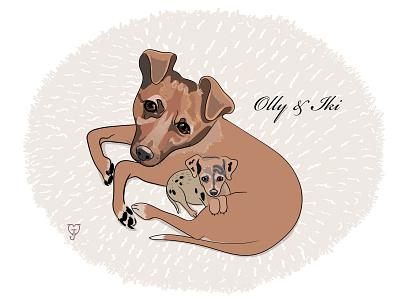 Olly and Iki cintiq digital illustration dog portrait illustration illustrator