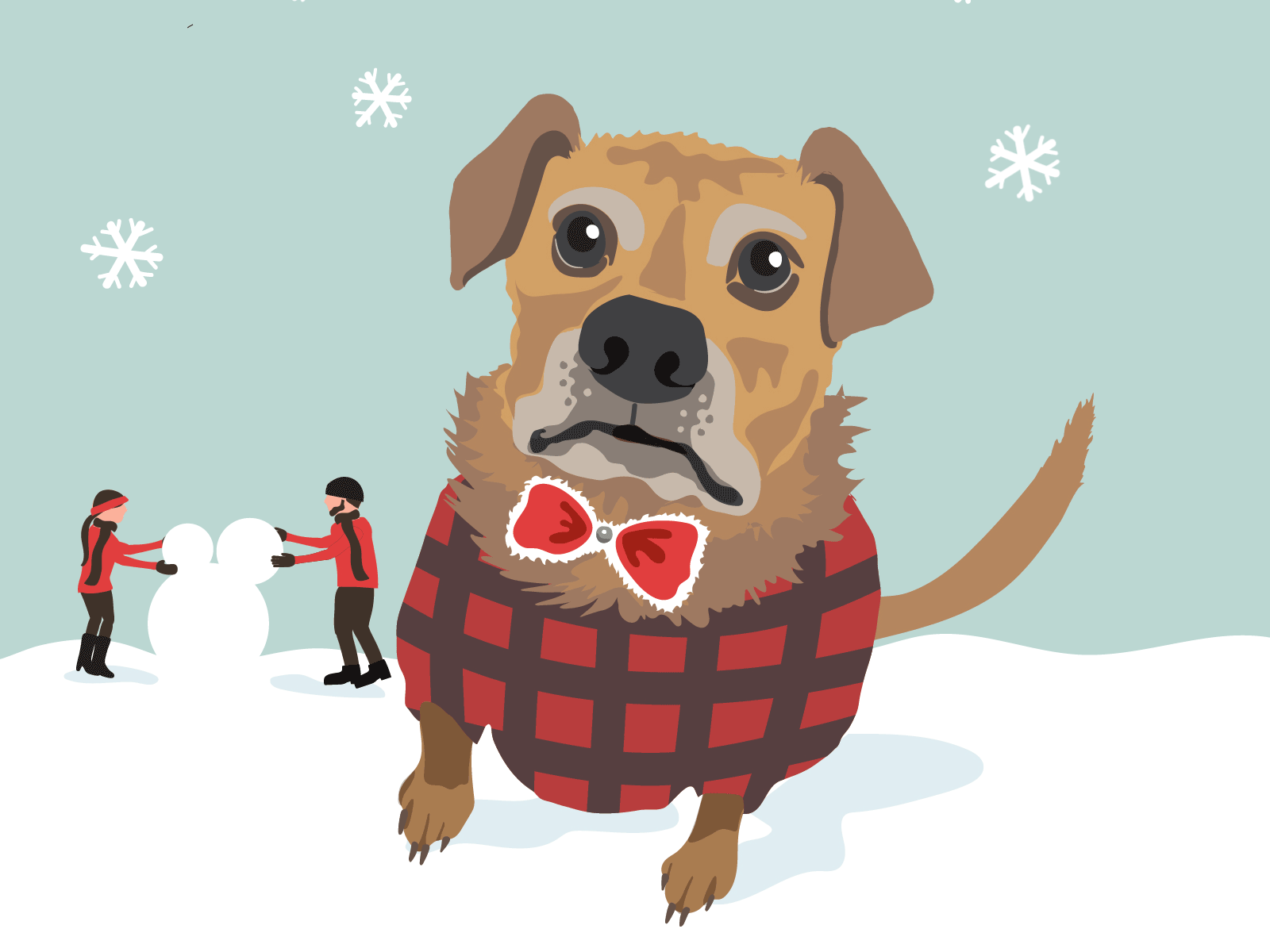 Teddy snowday cintiq digital illustration dog portrait dogs illustration