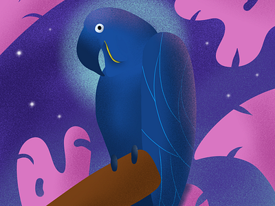 Arara Blue arara arara azul bird blue illustration