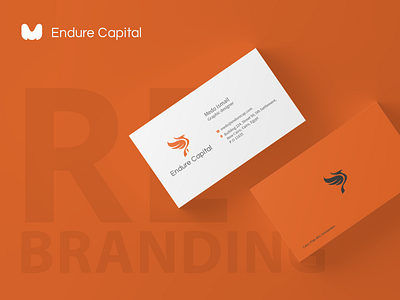 endure capital Re-branding endure capital logo re brand re branding re design