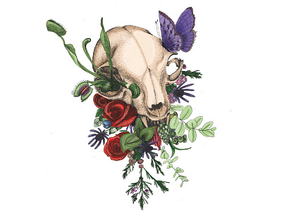 7 Lives Plus One cat flora illustration line pointilism skull