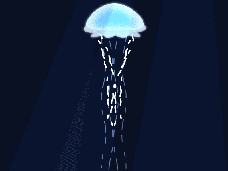 JellyFish animation design gif
