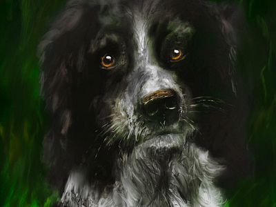 Portrait of a Doggo digital art dogs illustration painting portrait sketch