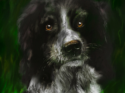 Portrait of a Doggo
