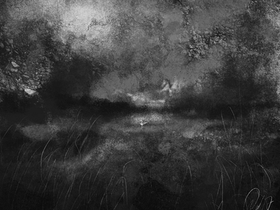 Gathering Storm, Single Swan dark digital art illustration ireland painting procreate swan