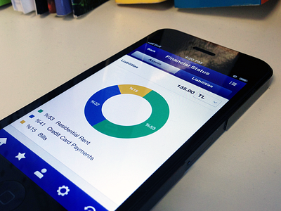 Financial Status Page chart finance financial app graph gui iphone5 mobile banking pie chart ui ux