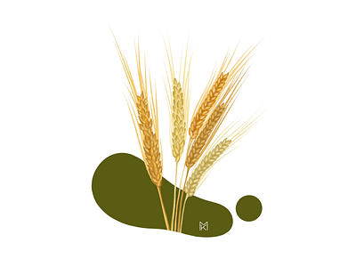 Wheat | Food Allergies food gluten free illustration plant procreate product wheat