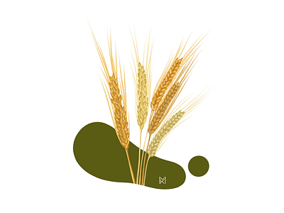 Wheat | Food Allergies