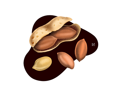 Nuts | Food Allergies allergies food illustration nuts procreate
