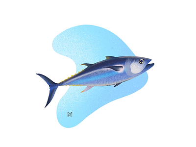 Seafood | Food Allergies allergies fish food illustration procreate seafood tuna