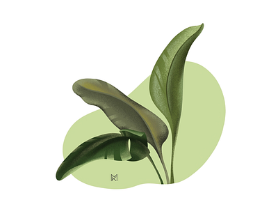 Tropical Leaves botanical floral green illustration procreate