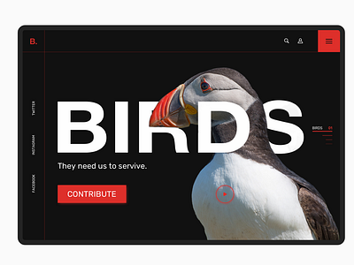 Contribution/Birds