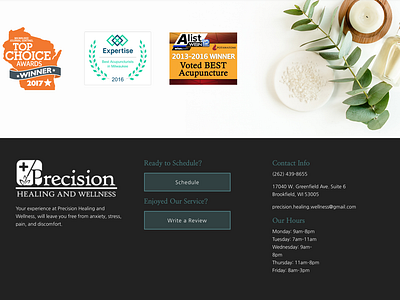 Website design for Precision Healing & Wellness branding design graphic design layout typography website design