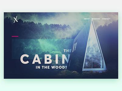 Daily UI - Day 3: Landing Page cabin dailyui landing page website woods