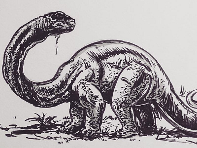 Brontosaurus.