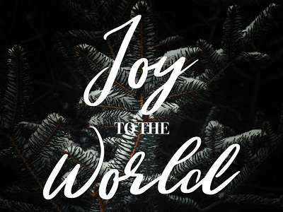 Joy To The World - Christmas Graphic branding clean design flat icon illustration illustrator lettering logo minimal type typography