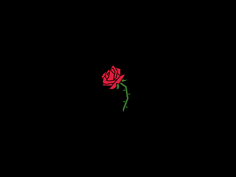 Angular Rose by Tom Philibeck on Dribbble