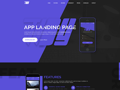 Tidy #2 - App Landing Page