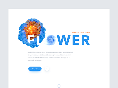 Daily UI 010 - Flower - Online Store blue card design clean minimal daily design daily ui 010 flower store ui design
