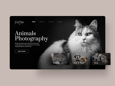 Animals Photography Website