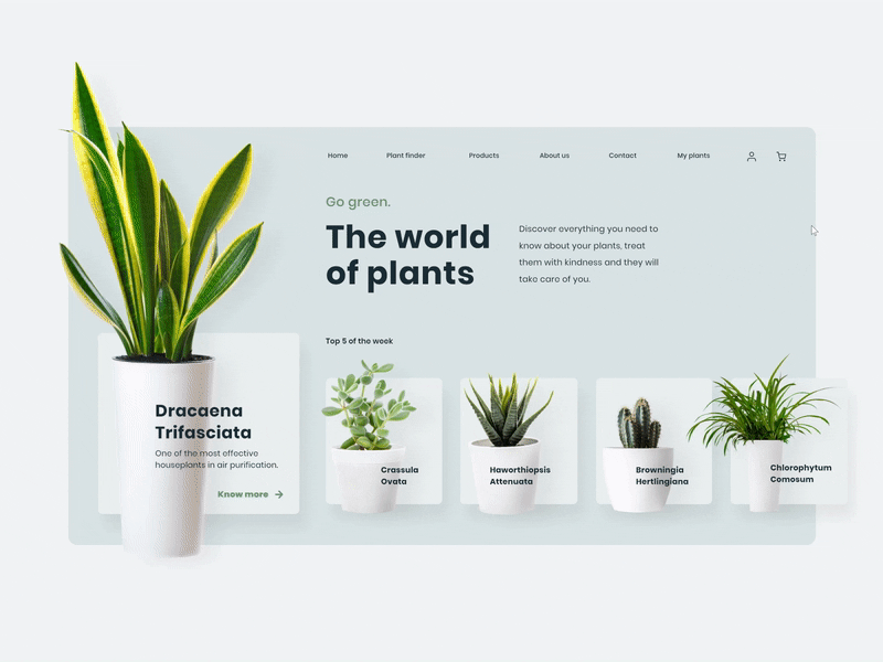 Plants website animation animation design flow graphicdesign plant plants smooth ui uidesign user userexperience userinterface ux uxdesign web web design webdesign website website design white