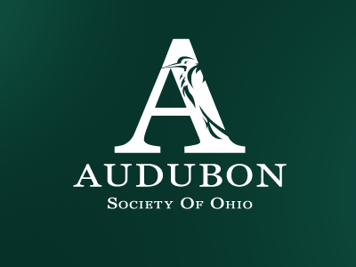 Audubon One Color 216aj audubon bird birds brand branding cleveland design green heron icon identity logo mark nature ohio society type wordmark